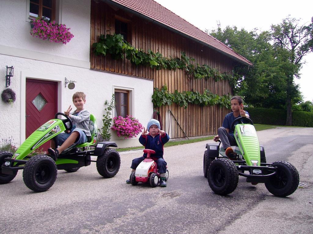 Vitalhof Roithinger Grieskirchen Bilik gambar