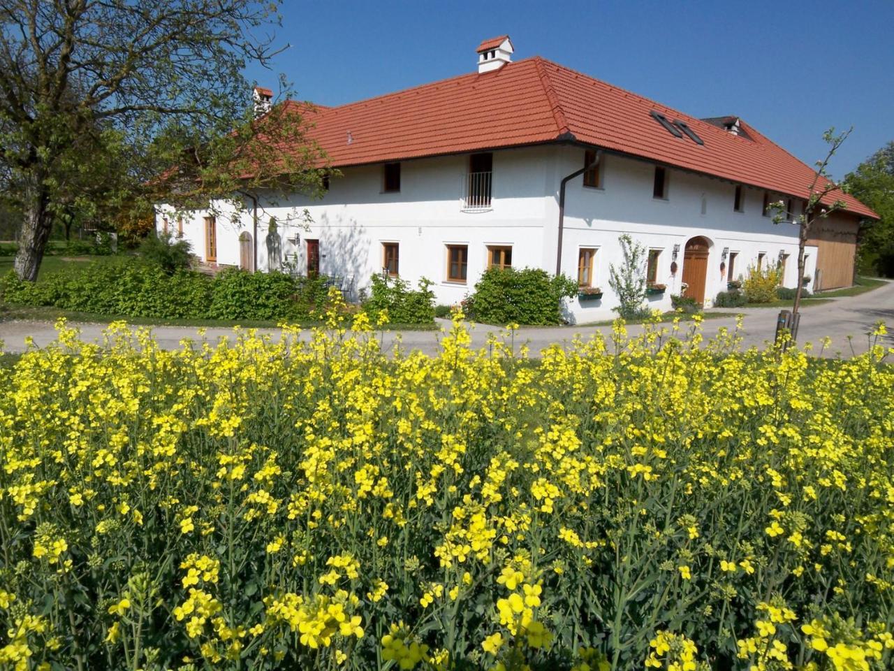 Vitalhof Roithinger Grieskirchen Luaran gambar